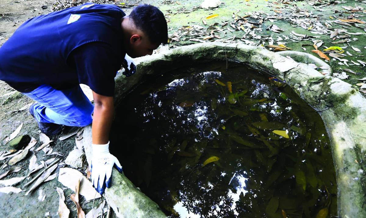 Eliminación de criaderos en viviendas.