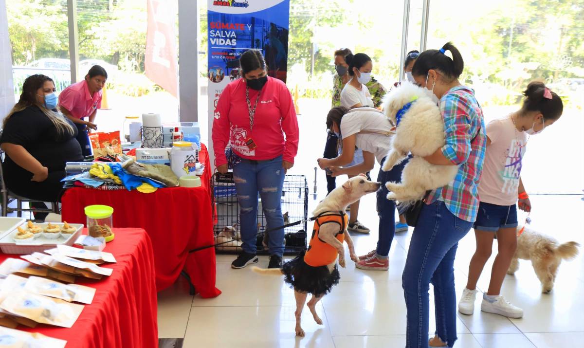 Las familias podrán disfrutar de puestos de venta y peluquería de perros.