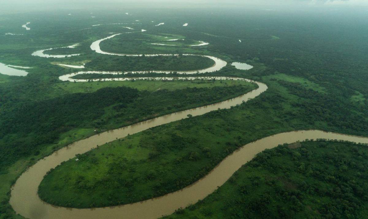 El río que da nombre a la reserva, el Río Plátano, es un importante curso de agua que serpentea a través de la selva y proporciona hábitat para una gran variedad de especies acuáticas.
