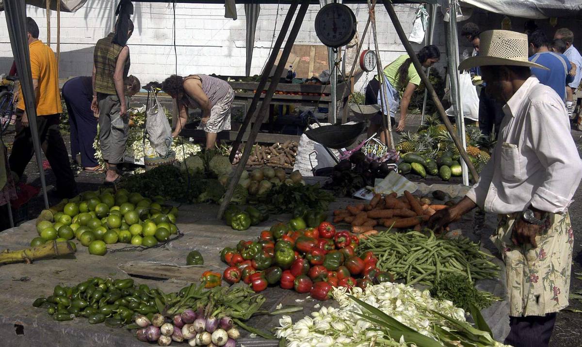 Las verduras frescas llegan desde El Merendón y otras partes del interior del país.