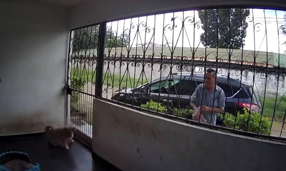 Cae sospechoso de envenenar perros para robar casas en El Progreso