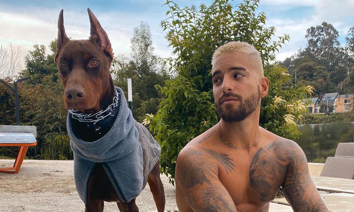 Maluma fue atacado por su dóberman