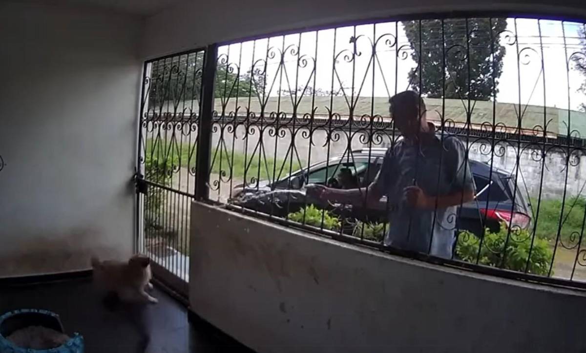 Cae sospechoso de envenenar perros para robar casas en El Progreso