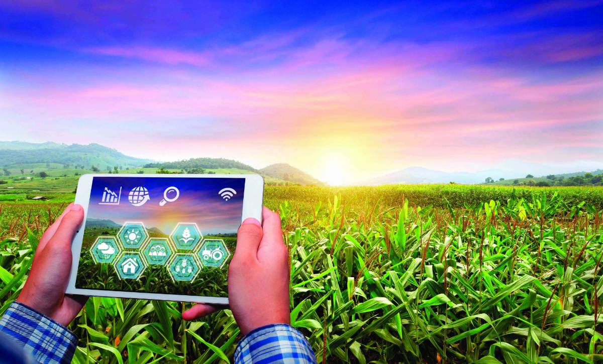 Honduras, atrasado en Índice Mundial de Innovación 2023