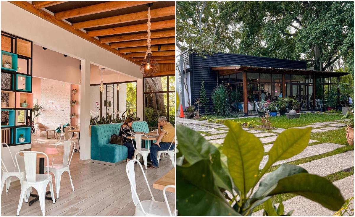 Caobas Vivero &amp; Café.