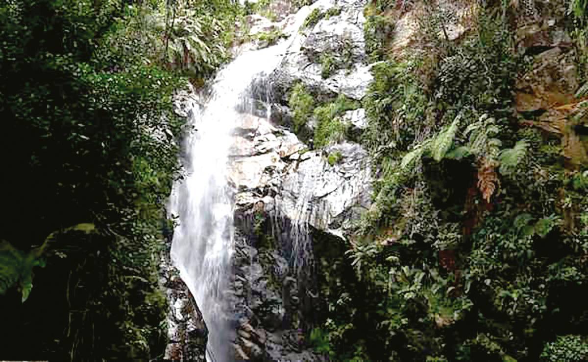 ¿Adónde ir por la mañana y volver casa por la tarde este verano?