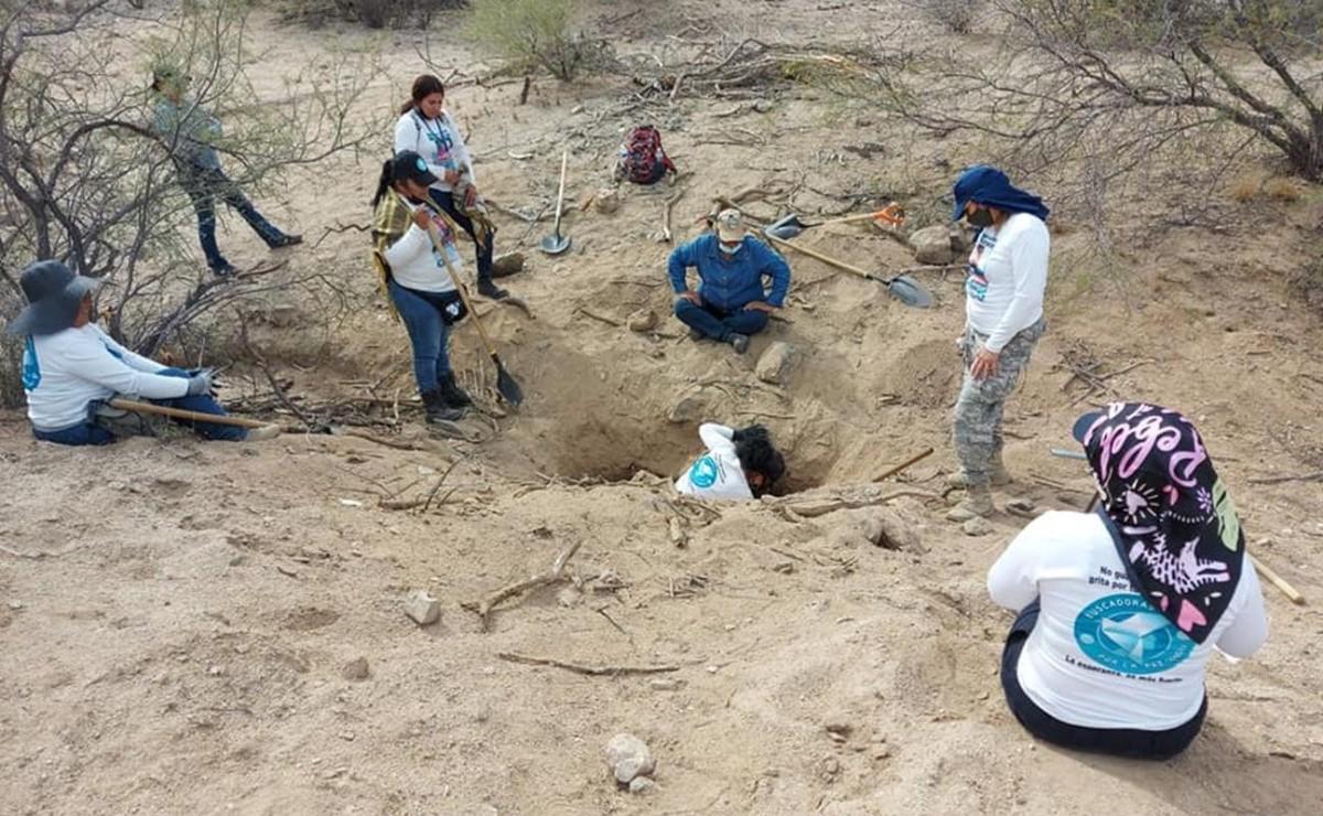 ¡Se lo comieron los animales!, la “suerte” de encontrar a un familiar desaparecido en México
