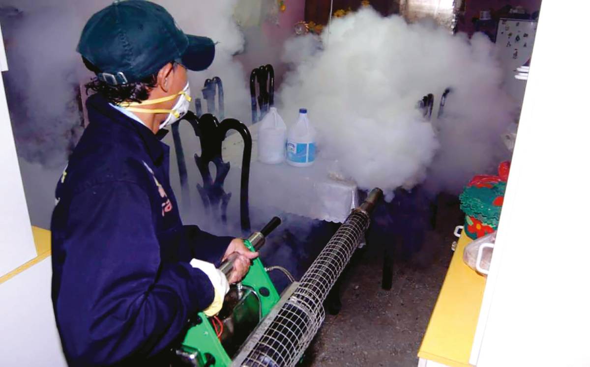 Salud recomienda tomar medidas ante aumento de casos de dengue