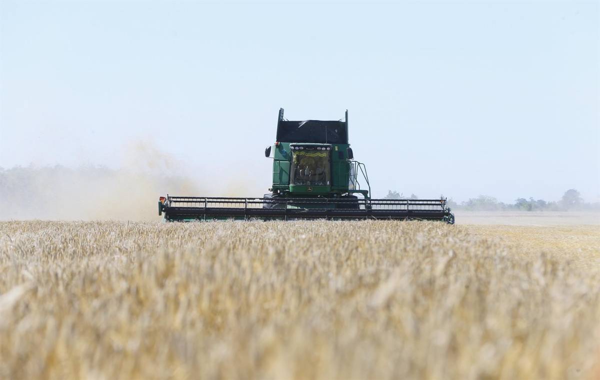 Rusia dice que es “muy importante” desbloquear la exportación de cereales
