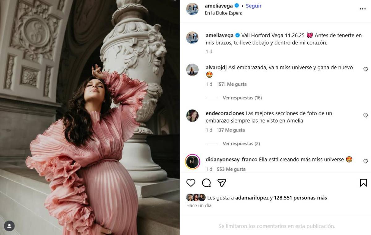 La Miss Universo 2003, Amelia Vega, dio a luz a su sexto hijo