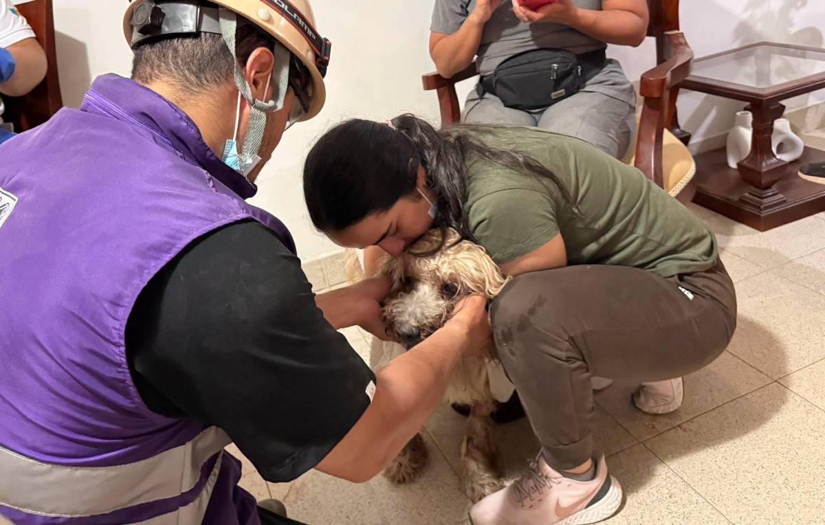 Antonio, el perro rescatado de los escombros en Colombia, alimenta la esperanza de una familia