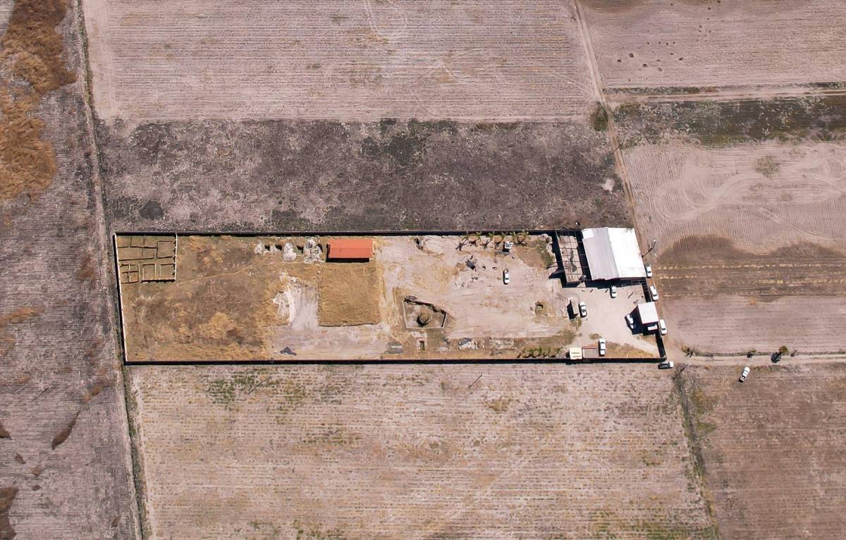 El Sapo ejecuta a reclutas que no superan entrenamiento para ser sicarios del CJNG