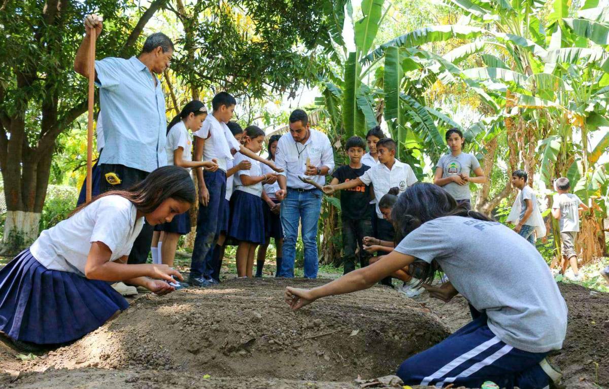 Les enseñan a cultivar a escolares de San Pedro Sula