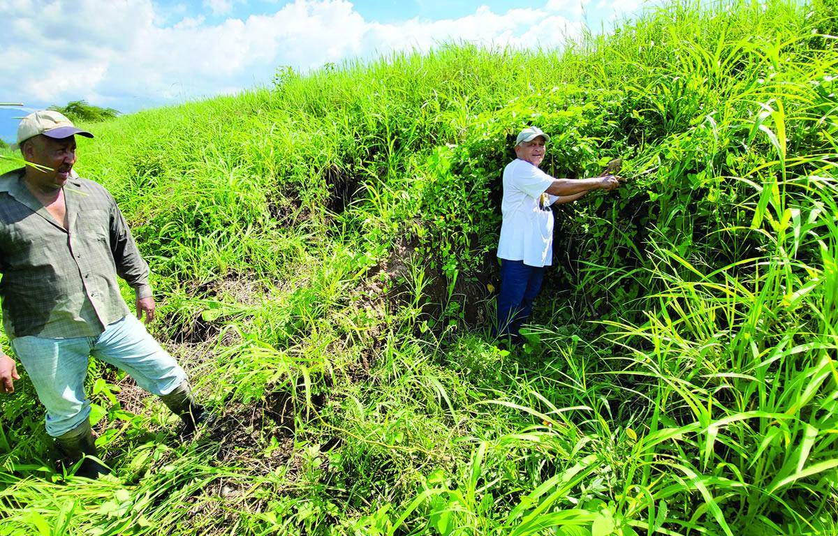 $!Bordo Campo Las Flores.