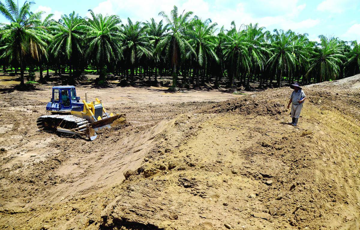 $!Material de fincas para bordo.