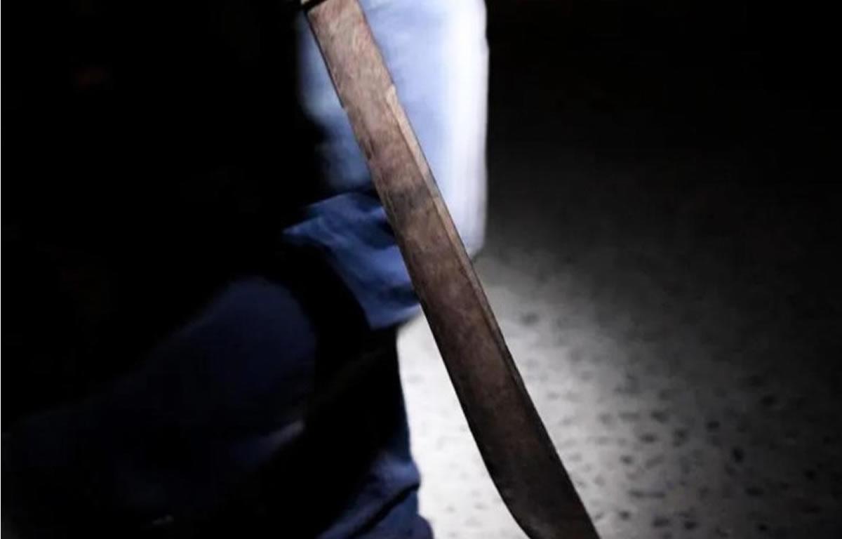 Procesan a mujer que mató a dos mascotas en San Pedro Sula