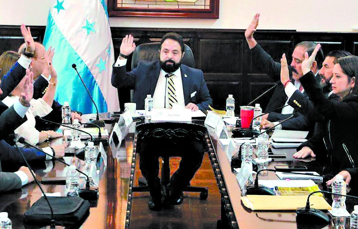 Libre amenaza a oposición con magistrados interinos en el TSC