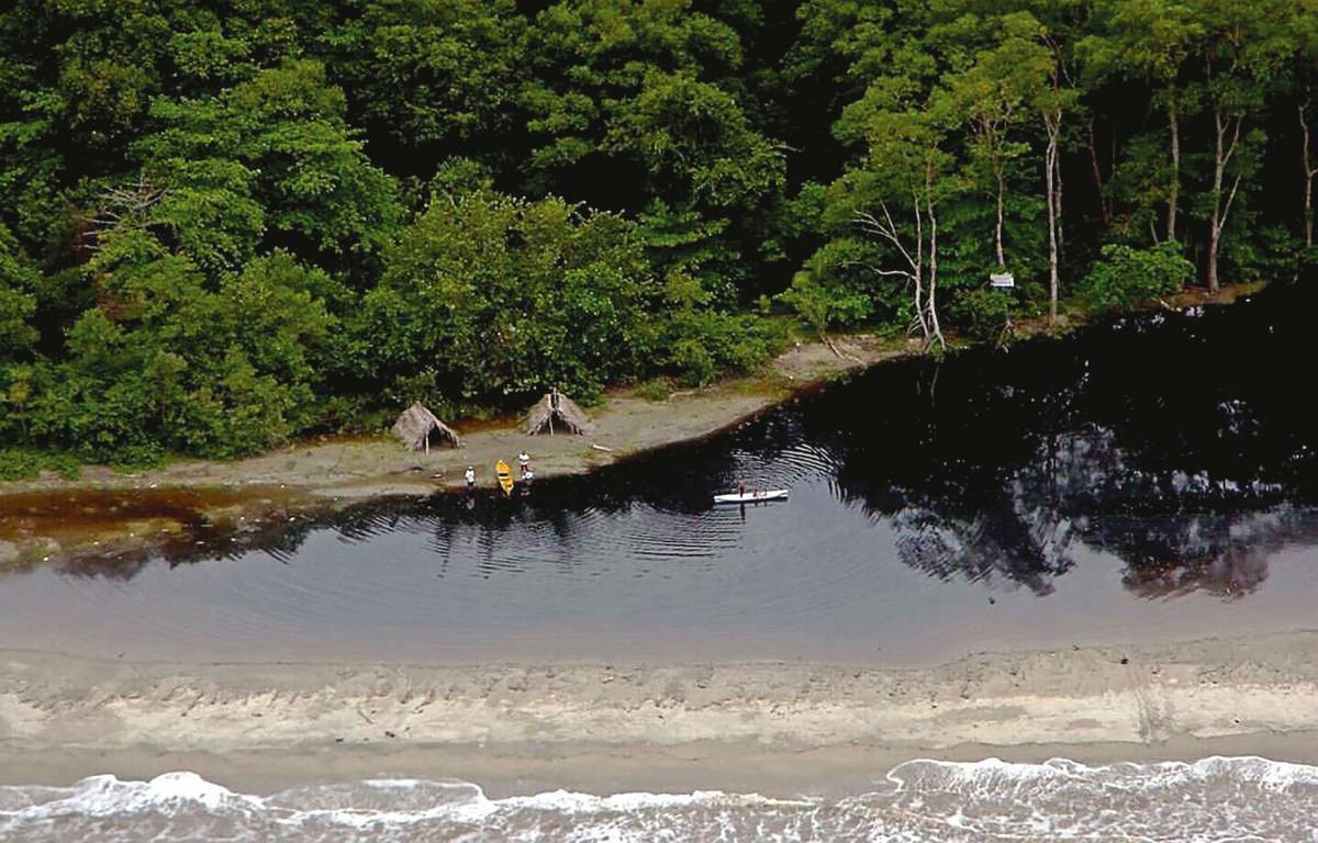 $10 millones para restaurar el Jeannette Kawas y Pico Bonito