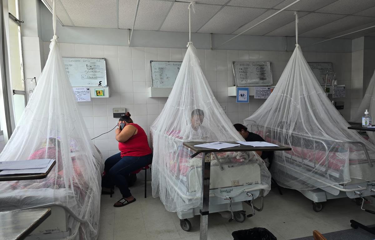 Honduras, segundo país de la región con más muertes por dengue