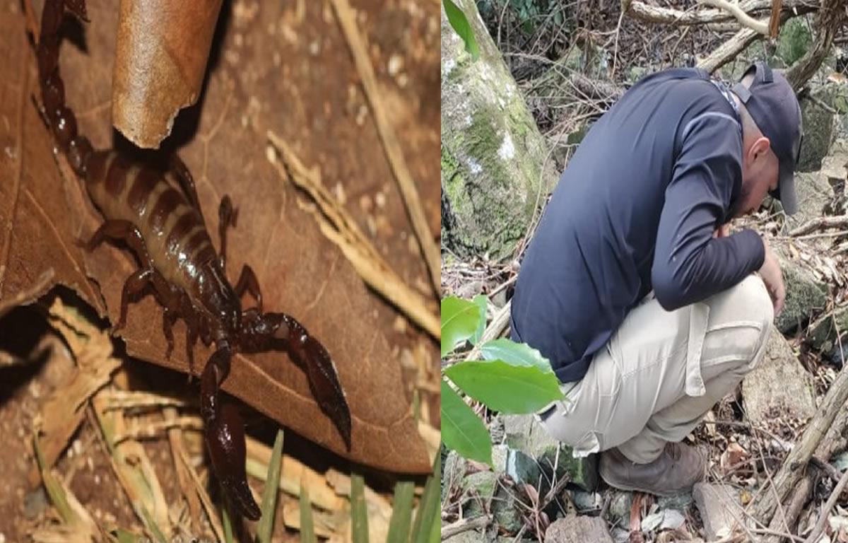 Alex Cubas explora el veneno de las arañas para crear antídotos