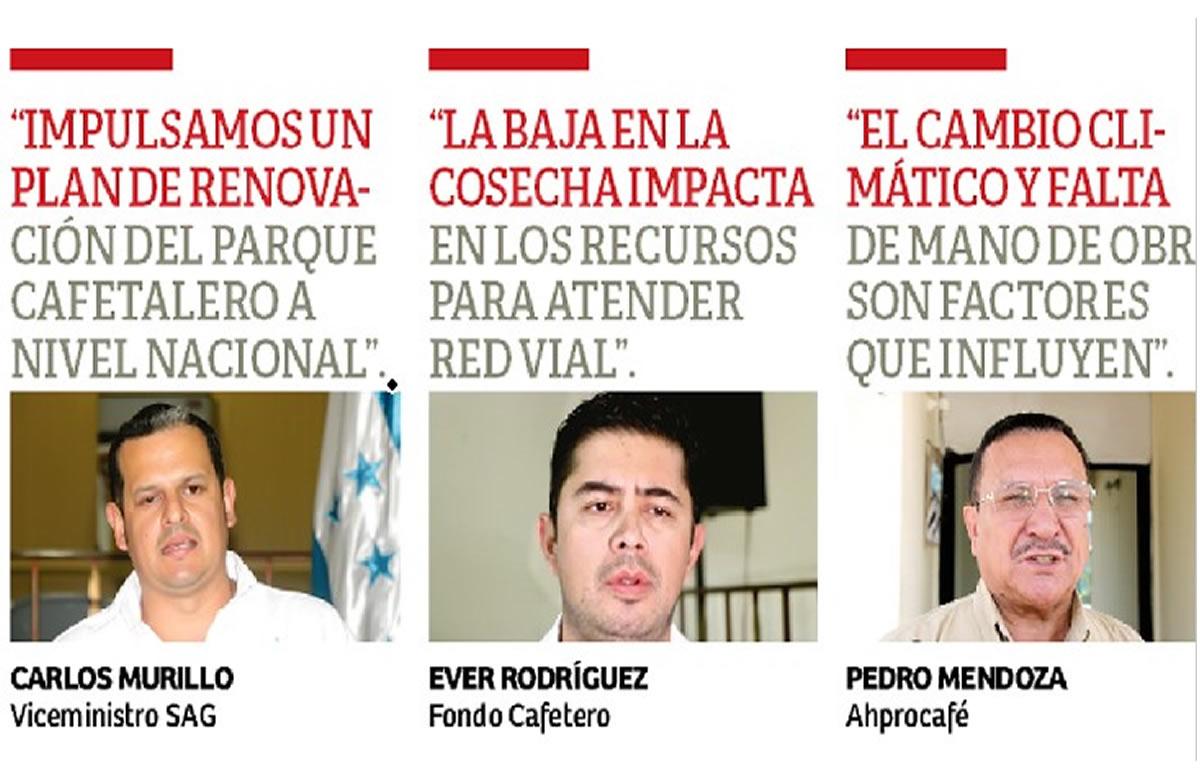 Exportaciones de café hondureño experimentan reducción del 11%