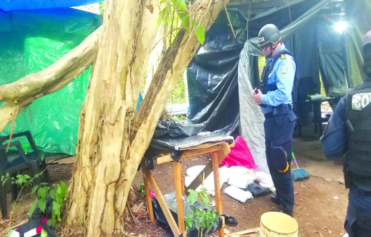 Hallan campamento para procesar droga en Cofradía, Cortés