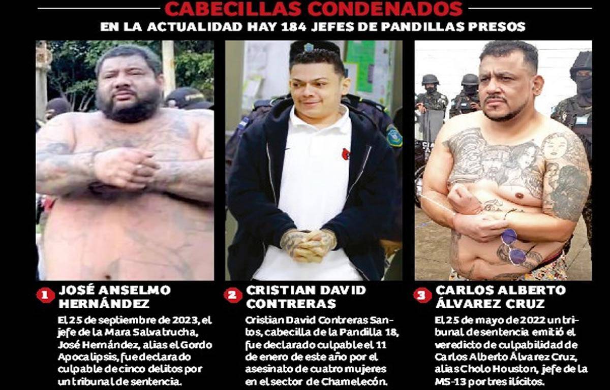 $!Del barrio a las mansiones: el avance de las maras y pandillas