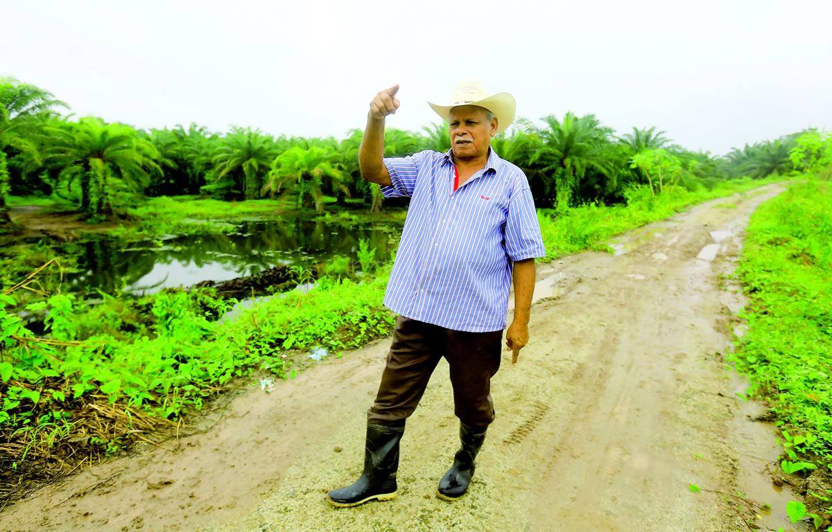 $!Otro de los bordos construidos en una propiedad de palma está con grietas.