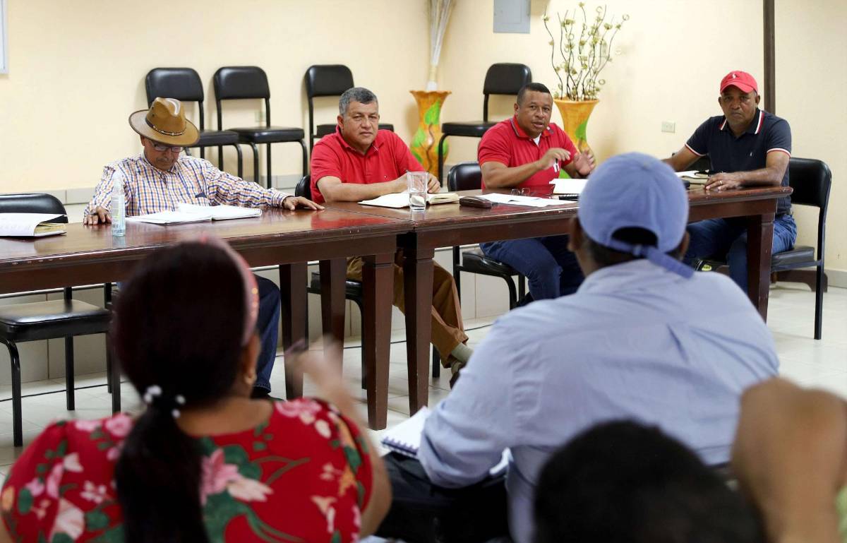 Campesinos venden fruta de fincas que tienen invadidas en Colón