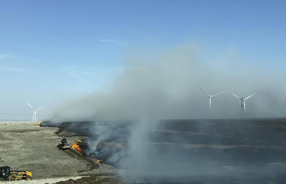 Firma eléctrica reconoce culpa en inicio de mayor incendio forestal de Texas