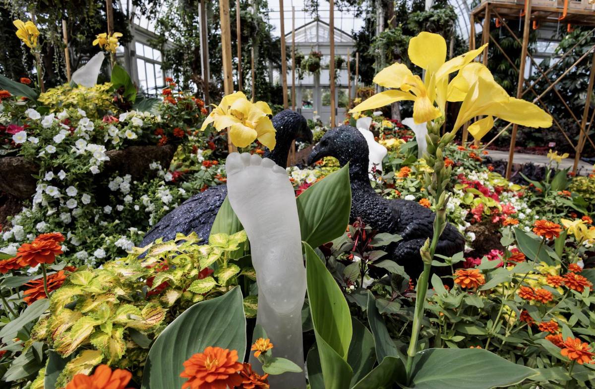 El Jardín Botánico de Nueva York es tomado por cientos de esculturas de buitres