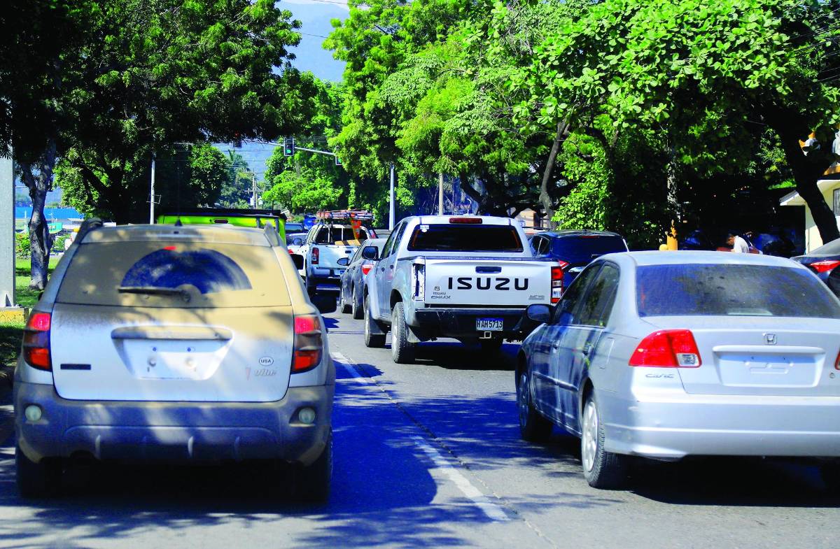 Más de 6,200 permisos digitales ha emitido el IP por falta de placas físicas