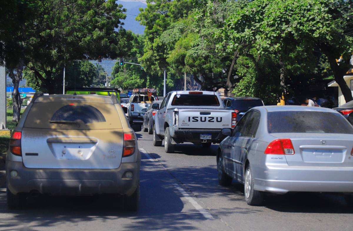 Más de 6,200 permisos digitales ha emitido el IP por falta de placas físicas