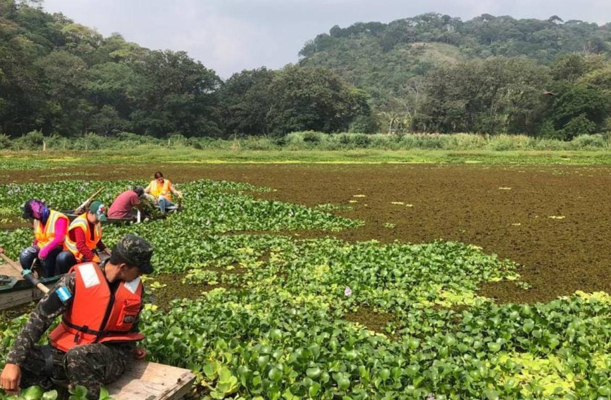 Honduras conmemora el Día Mundial del Medioambiente con llamados a