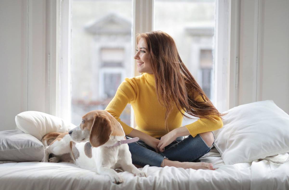 Riesgos y beneficios para los humanos de dormir con las mascotas