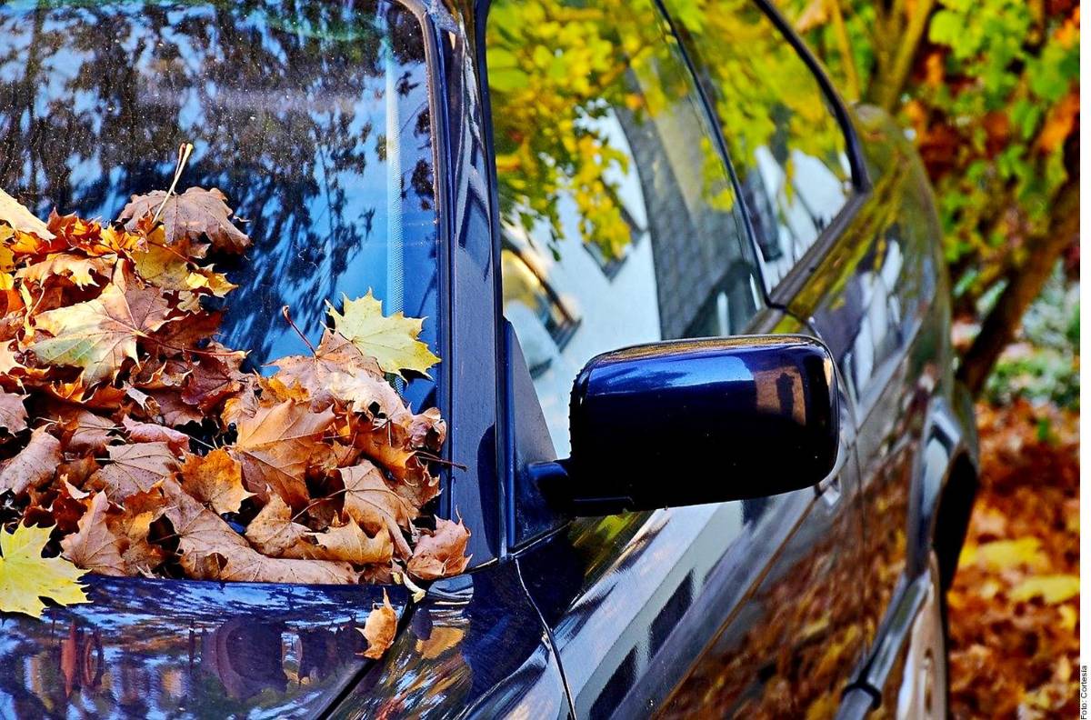 Cinco cosas que debes evitar para alargar la vida de tu auto