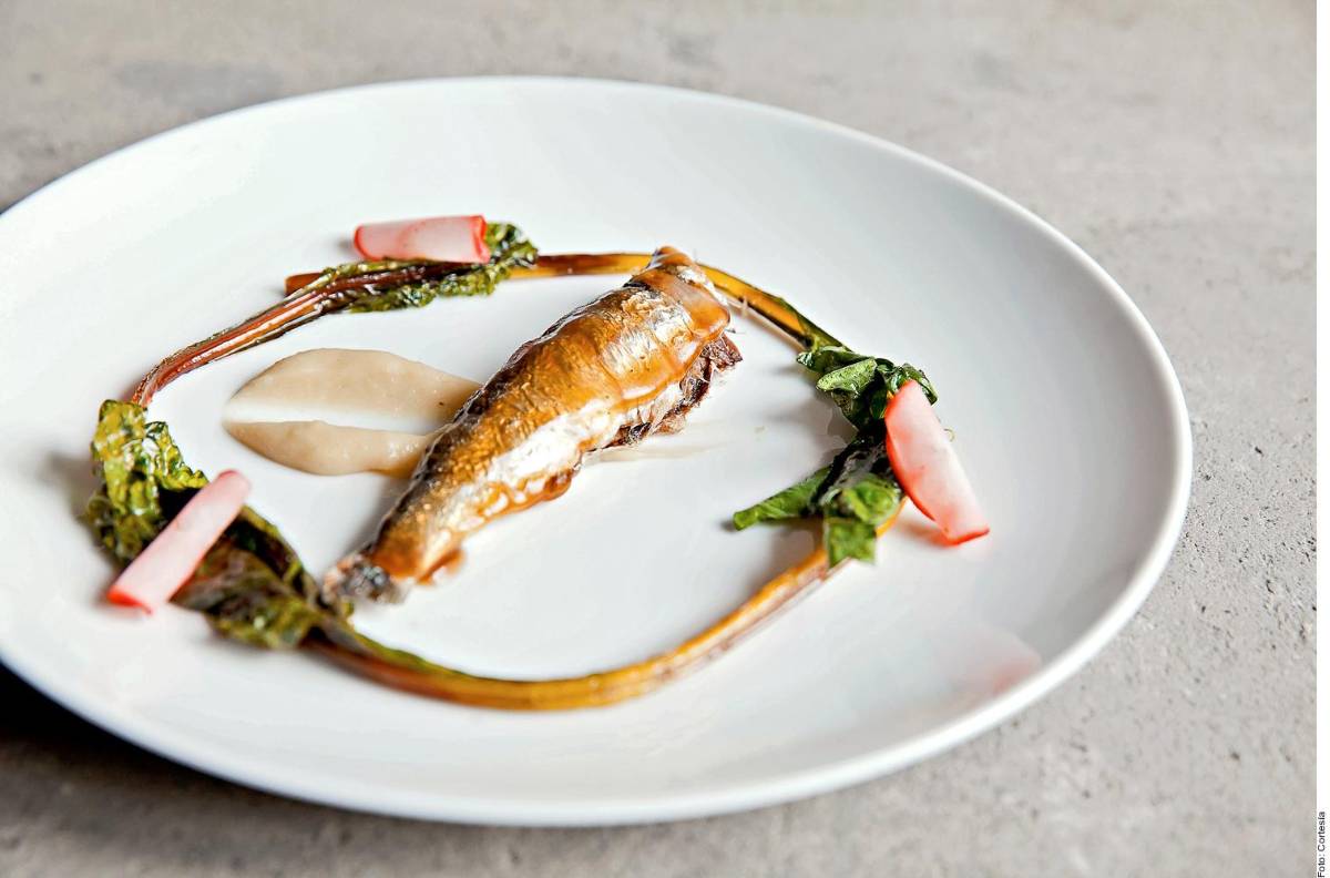 5 recomendados. Debido a su alta concentración de Omega 3 y baja presencia de metales pesados, consume: arenque, salmón, trucha y sardina.