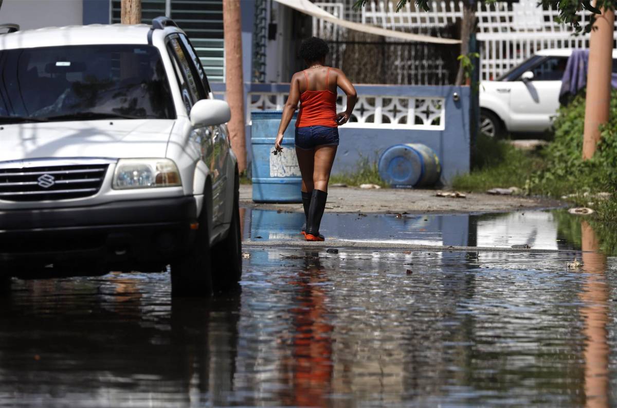 Leptospirosis, nueva amenaza de Puerto Rico por las inundaciones
