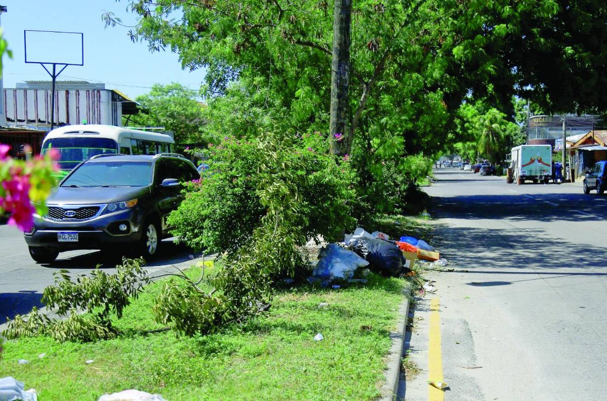 San Pedro Sula, con sus medianas llenas de maleza y abandonadas