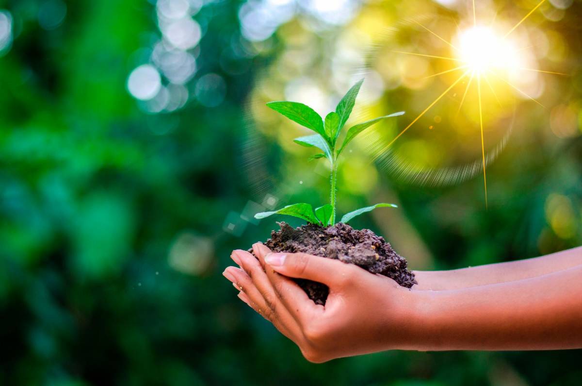 Así podemos cuidar el medio ambiente