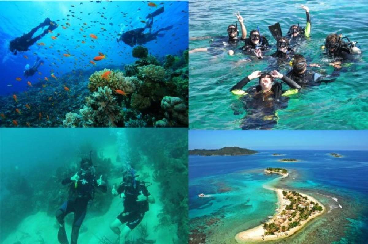 Universidad de Córdoba de España y UTH unen fuerzas en proyecto de buceo científico