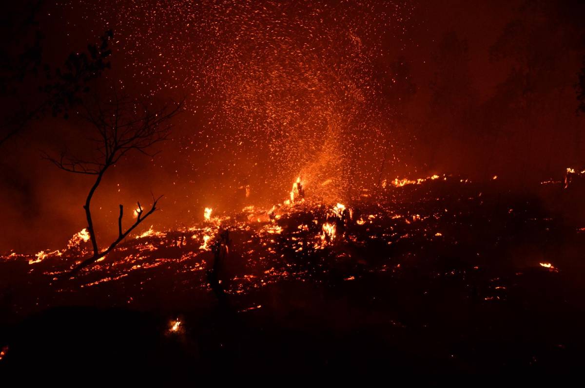 Cientos de hectáreas fueron destruidas por las llamas en El Hatillo, cerca del parque nacional La Tigra.