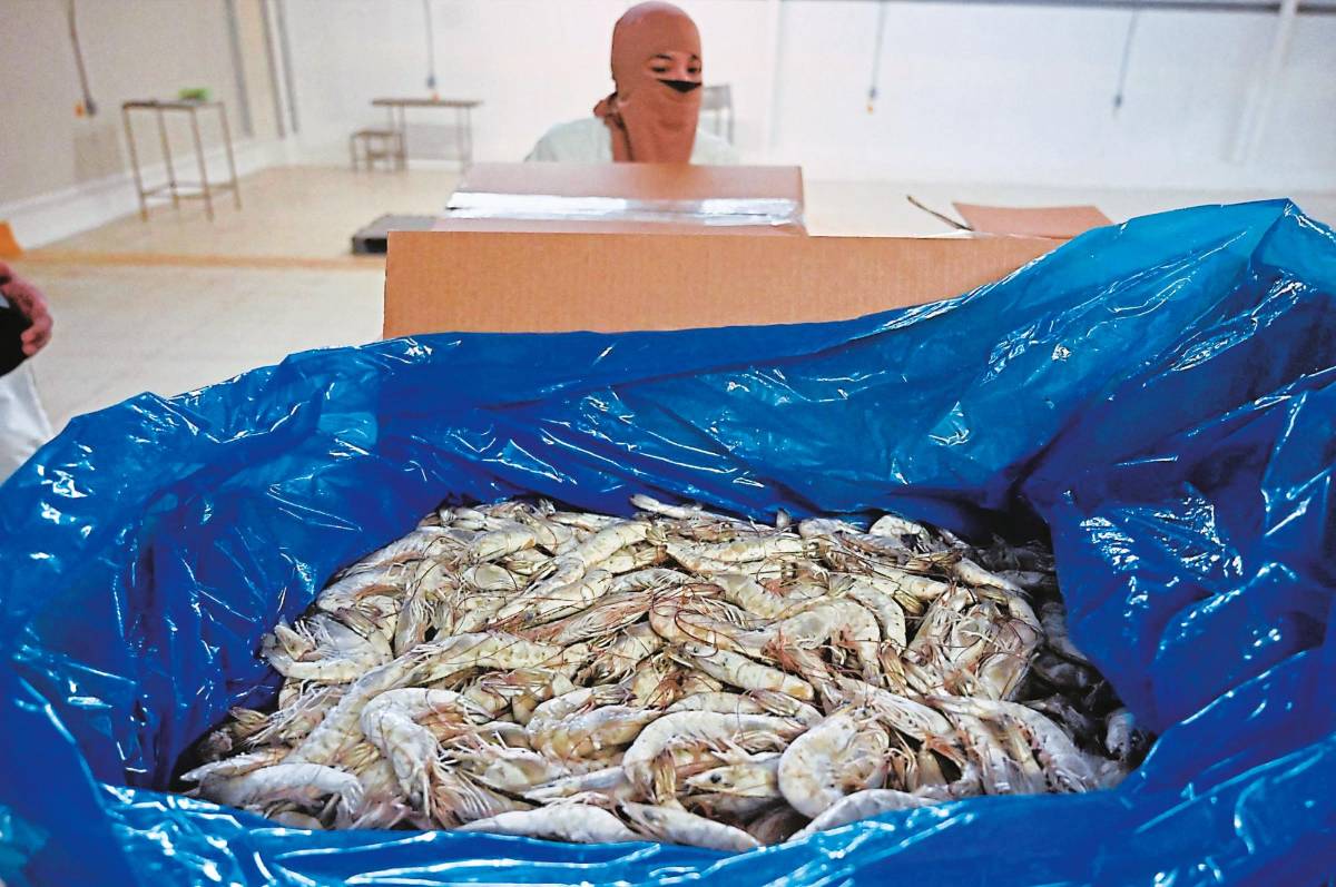 La Andah asegura que no triangula camarón