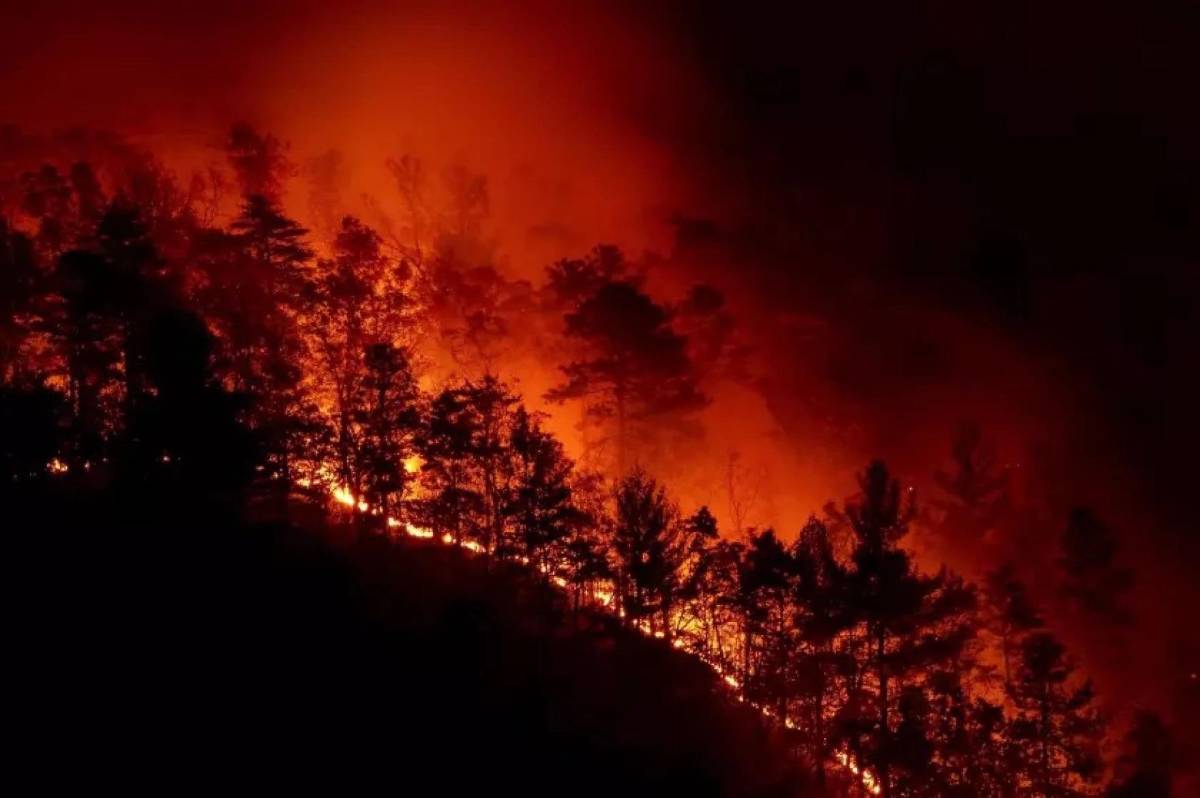 Estado de emergencia en las Carolinas por devastadores incendios