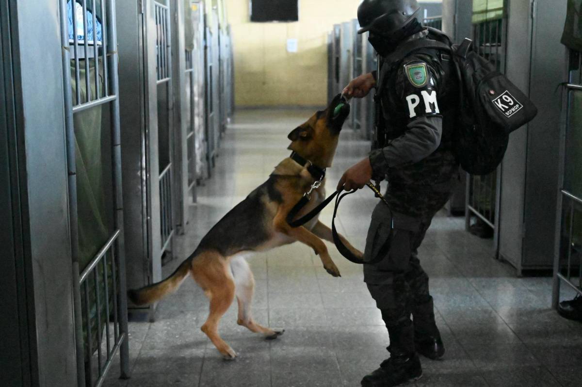 Desde hoy la PMOP comienza a tomar control de cárceles