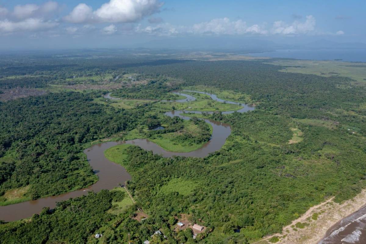 La amenaza más grande de deforestación que sufre la biósfera del Río Plátano.