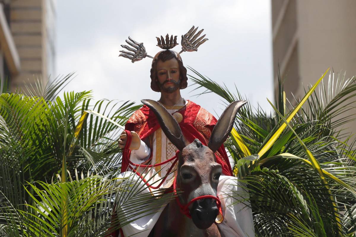 Fe y tradición: las imágenes del Domingo de Ramos en el mundo