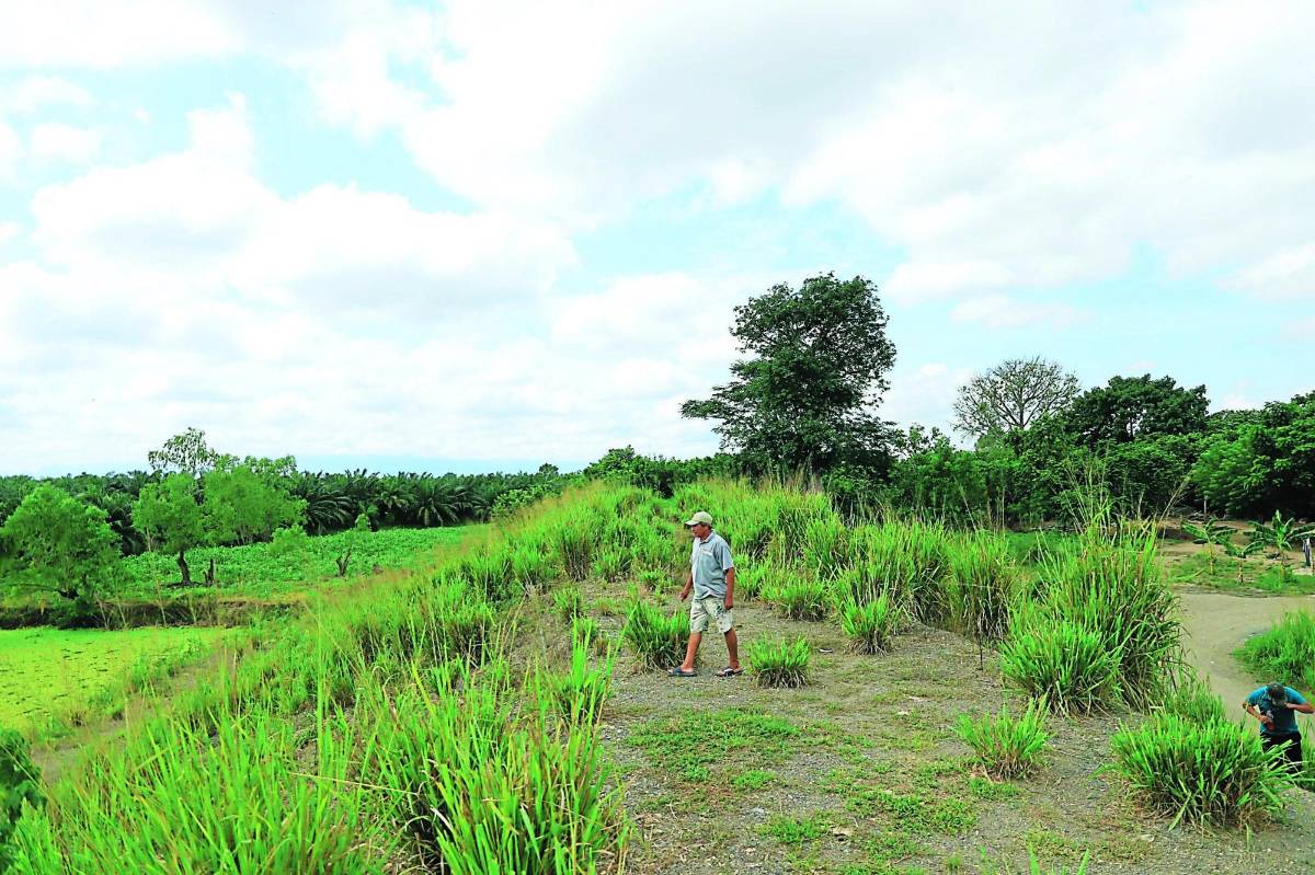 L80 millones lleva invertidos el Fhis en reparar bordos