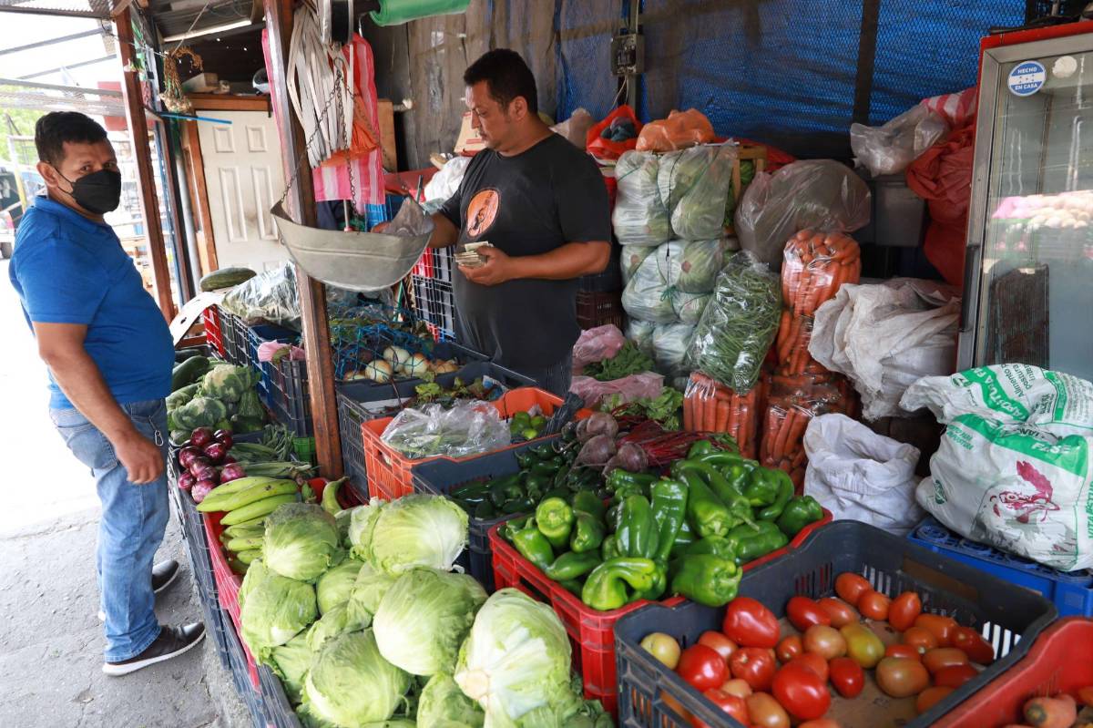 La papa, la cebolla y la zanahoria aumentaron L3; los lácteos se mantienen estables y la carne de res subió un lempira.
