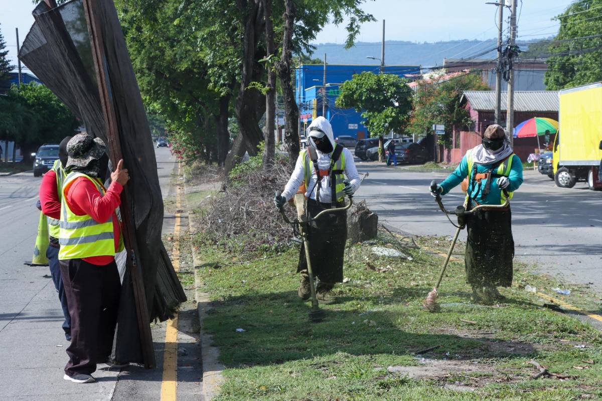 Llaman a denunciar predios sucios a través de la app municipal